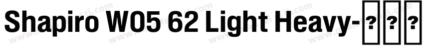 Shapiro W05 62 Light Heavy字体转换